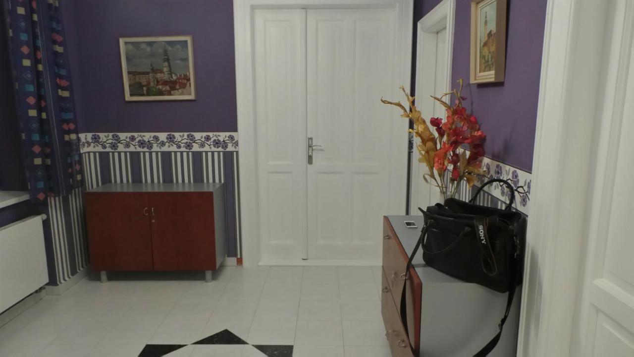Apartment Sejko Český Krumlov Værelse billede
